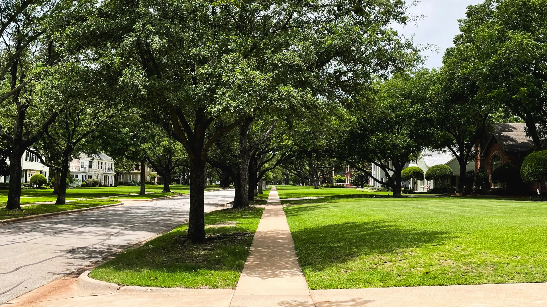 Quiet suburban street with lush green trees lining sidewalks and well-kept lawns on a sunny day