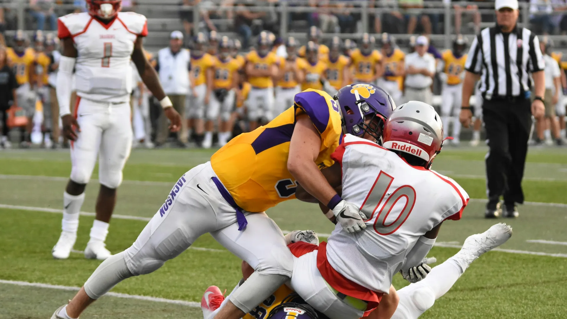 Doctor applying a white elastic bandage cast to a patient's arm for injury support and care.