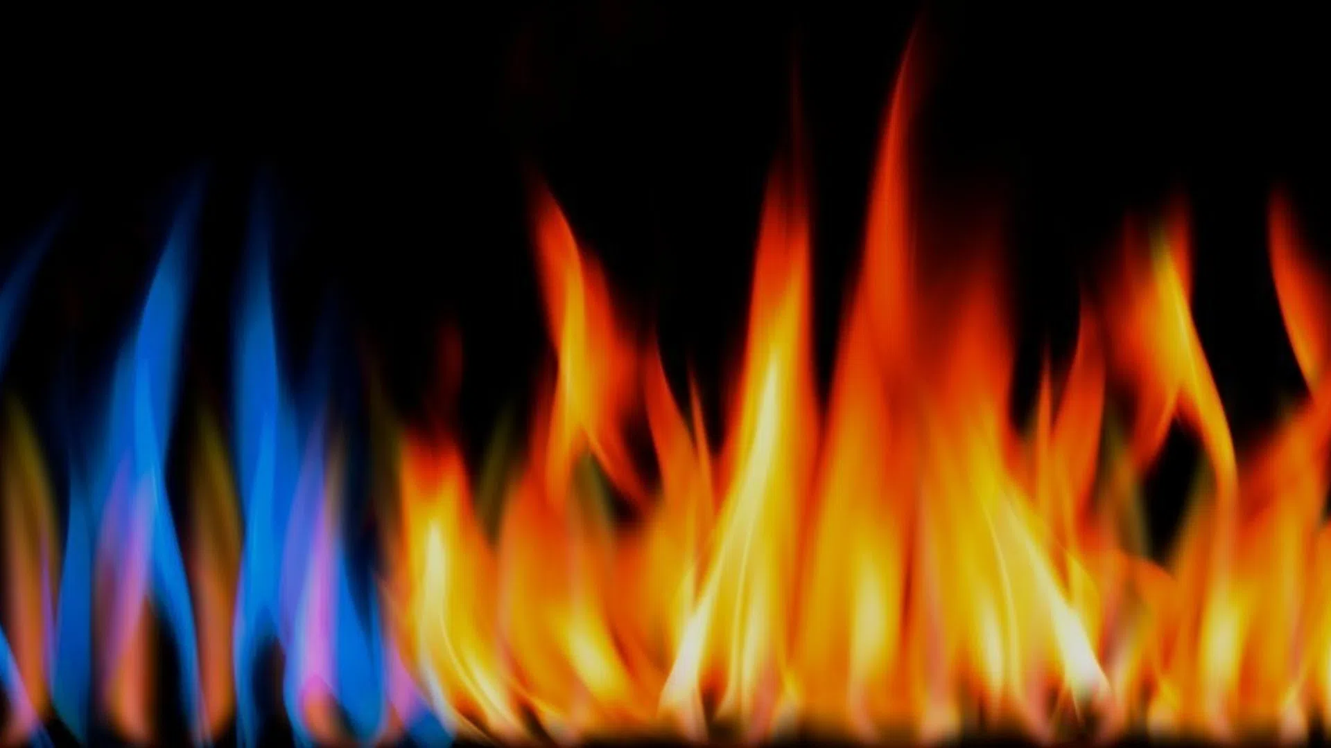 Bright orange and blue flames burning against a black background showcasing fire's dynamic colors and movement.