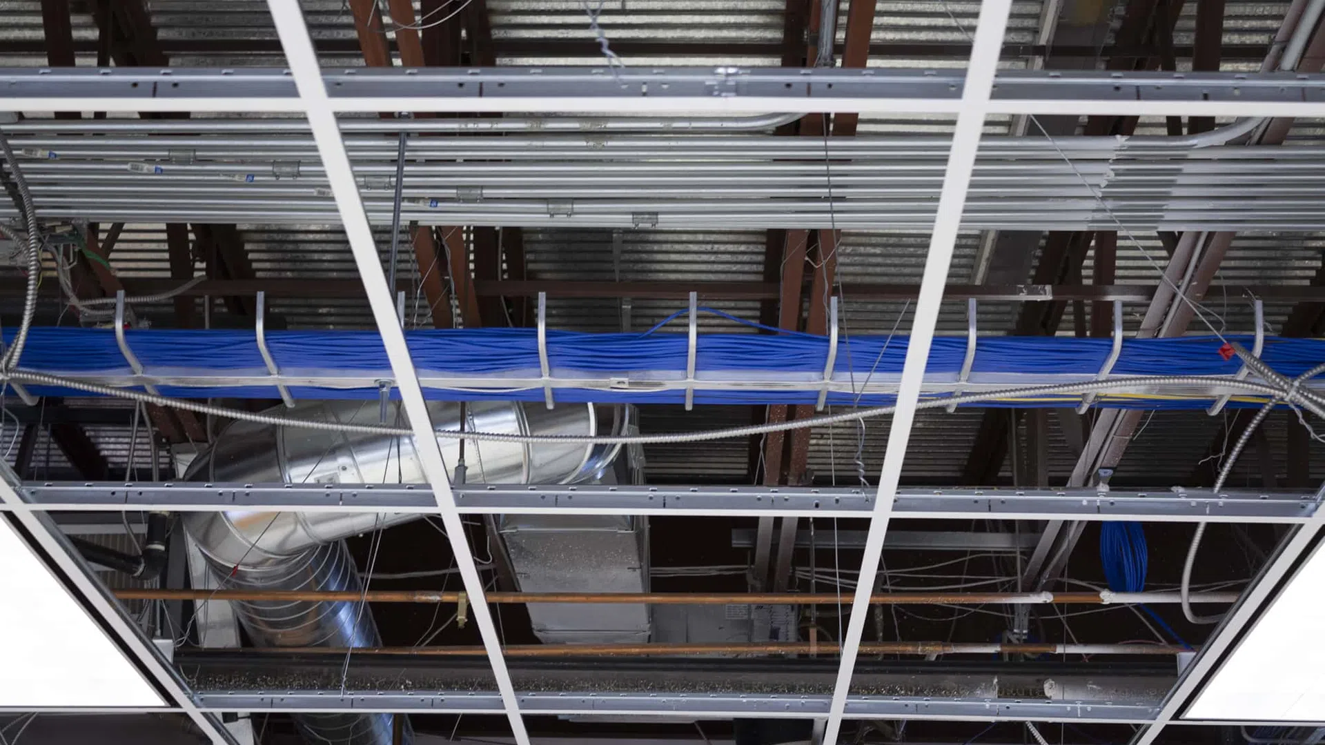 Exposed industrial ceiling with metal ducts, blue electrical cables, and grid framework in a commercial building.