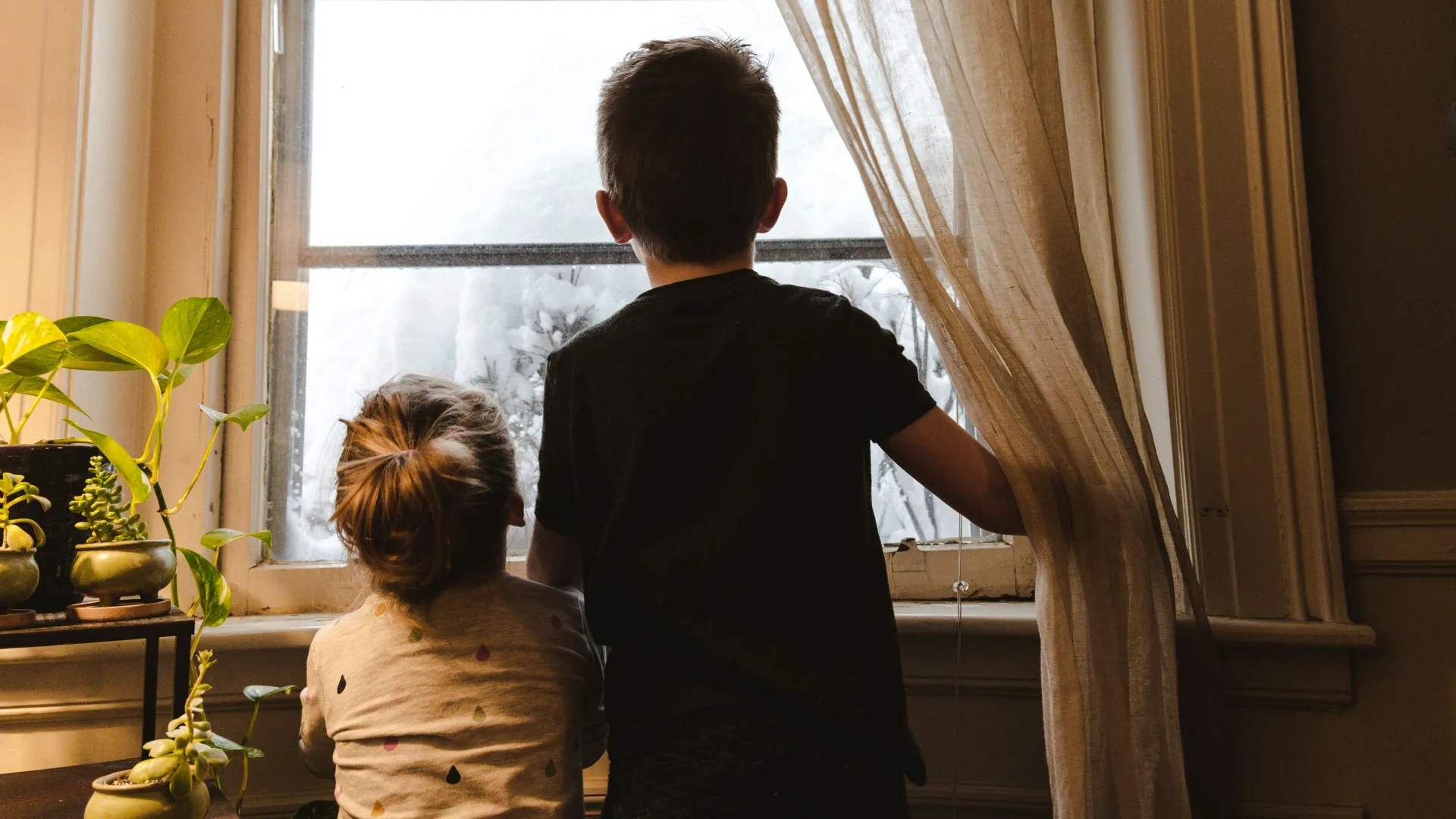 Two children looking out a frosted window with plants on a nearby table and one child holding a curtain.