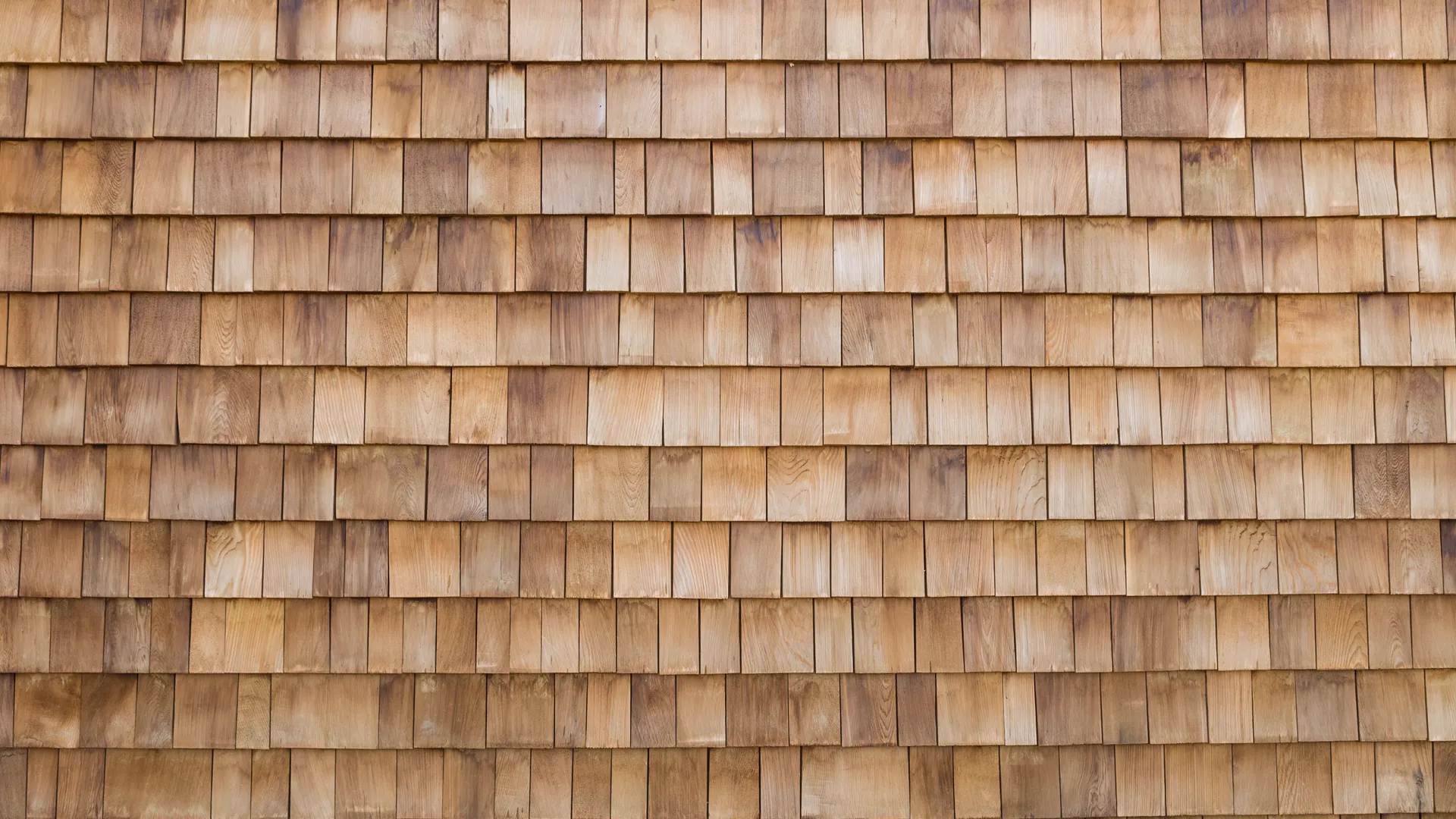 Close-up of wooden shingles arranged in uniform rows showing natural grain and color variations.