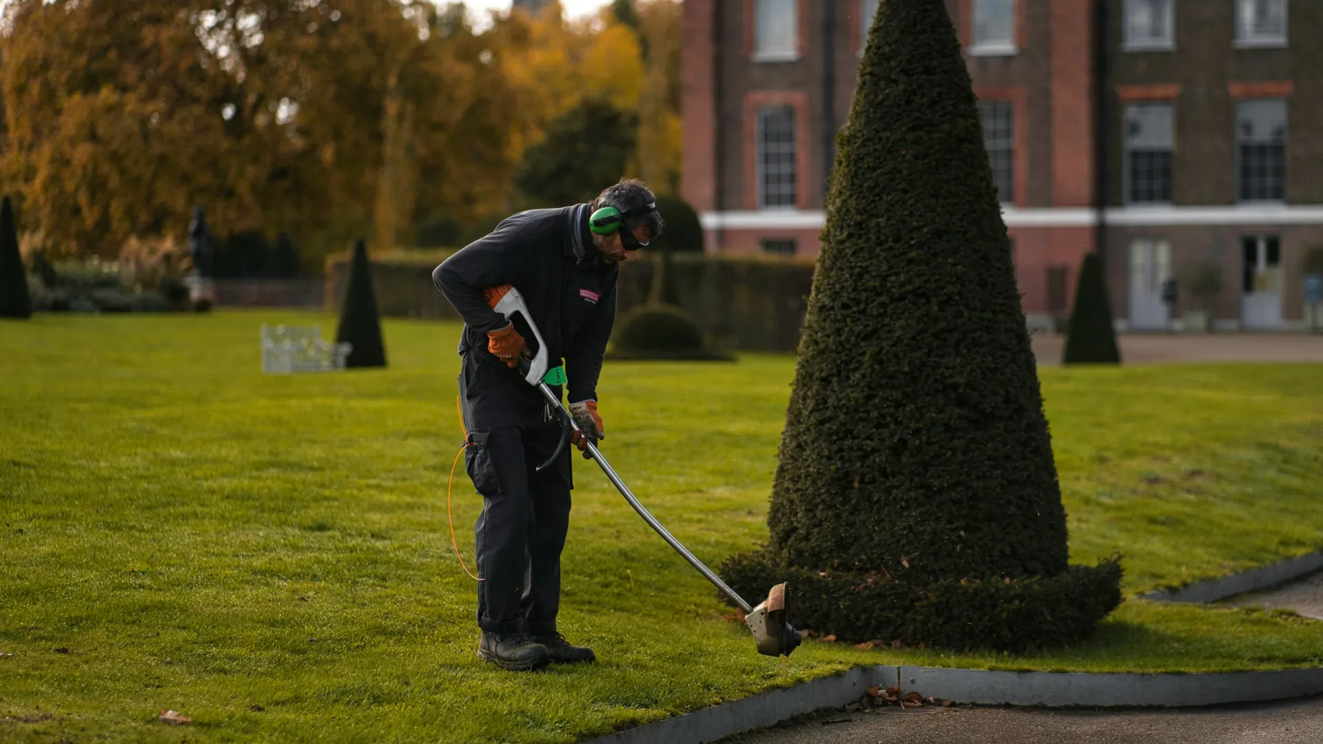 Gardener trimming hedges in a park with a flowering tree and a historic building in the background.