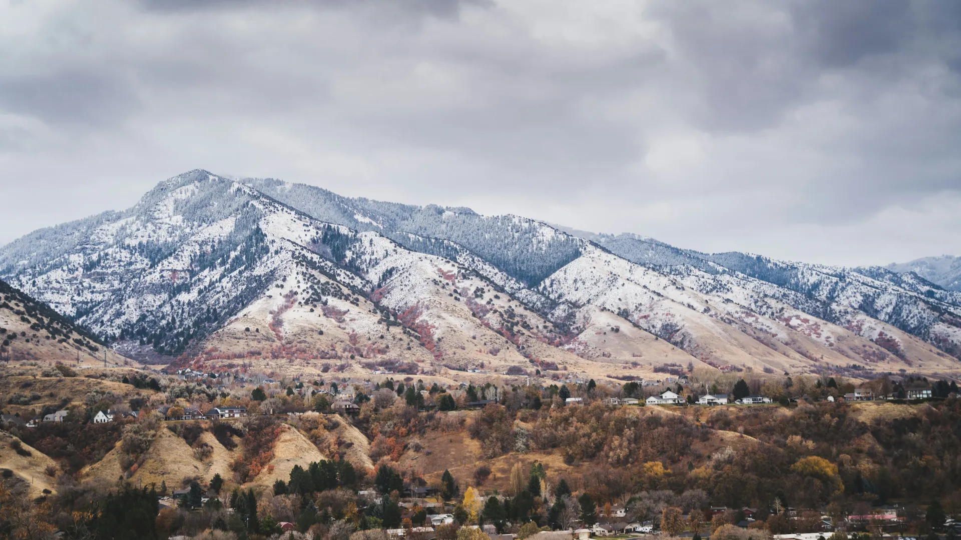 a landscape with trees and mountains