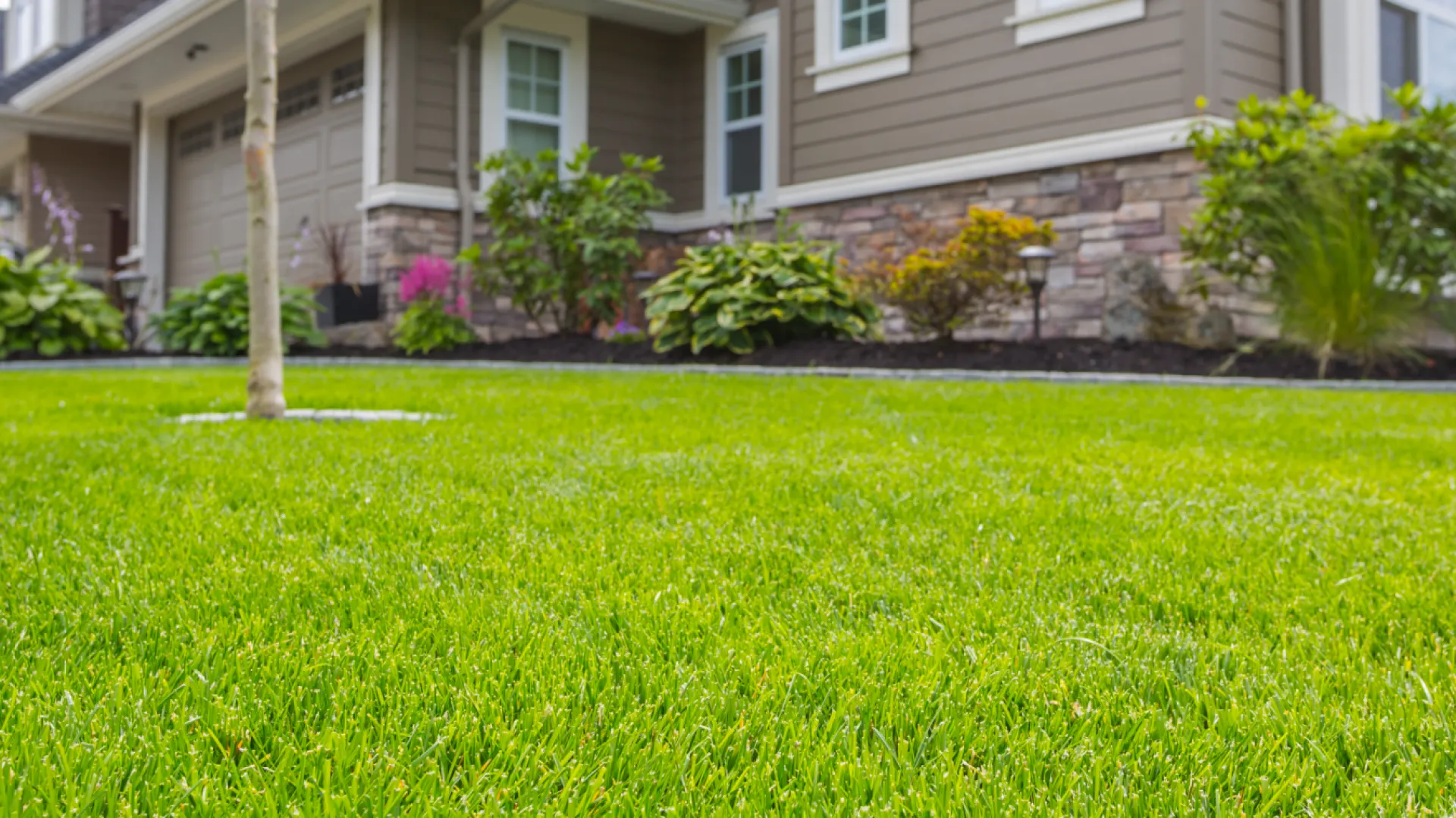 a yard with a house in the background