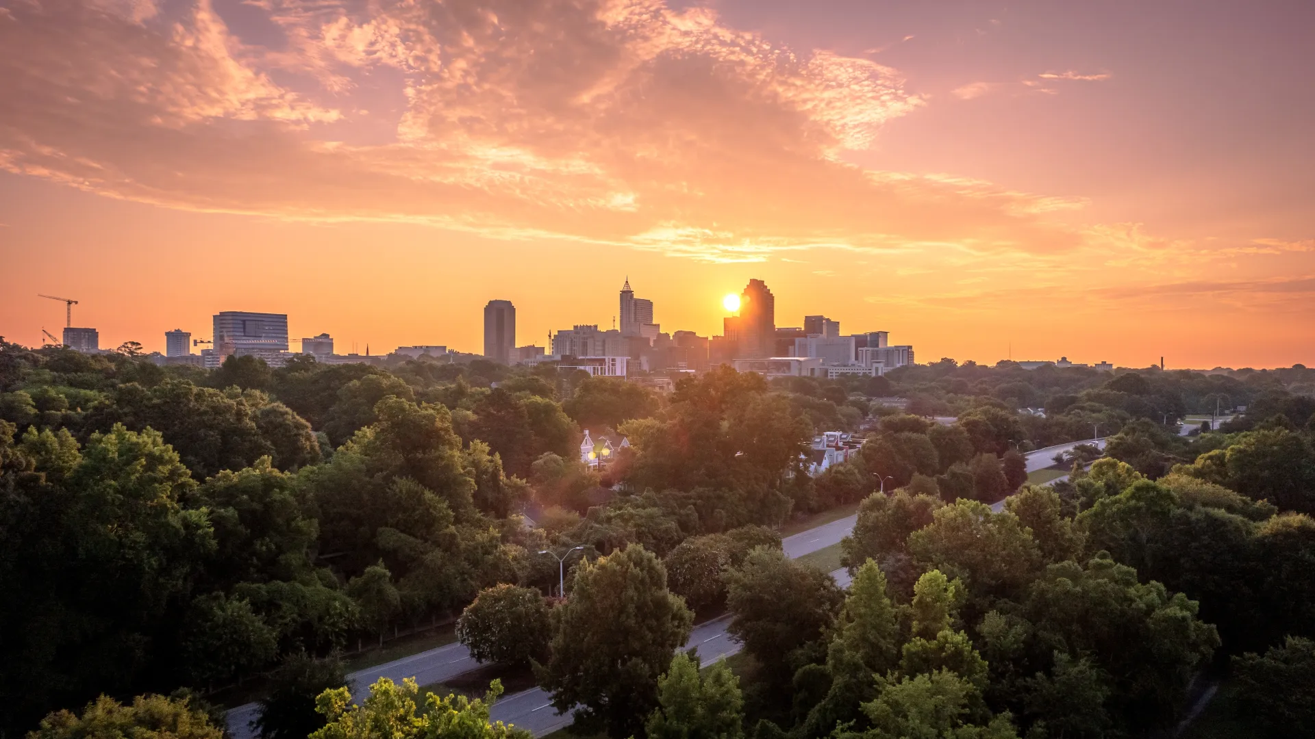 Durham skyline with trees and a sunset