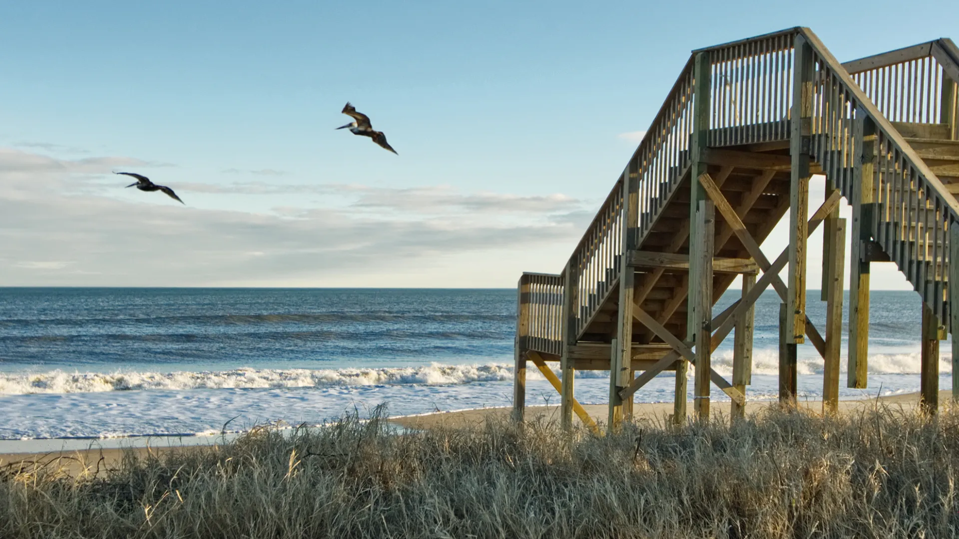 Wooden beachfront stairs leading to ocean with seagulls flying over sandy beach and grass dunes.