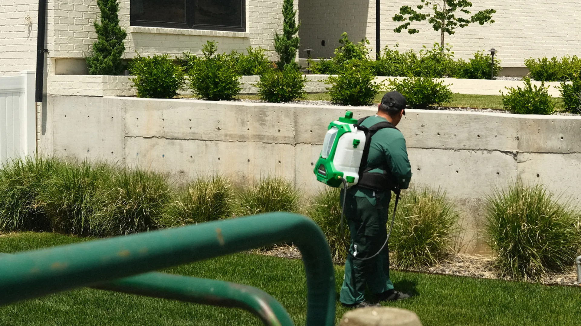 Gardener using backpack sprayer to treat plants in a residential garden with green grass and shrubs.