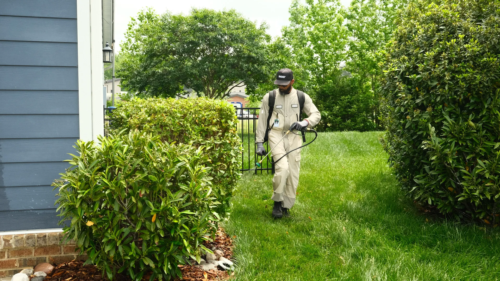 Professional pest control worker spraying insecticide on lawn and bushes in residential backyard