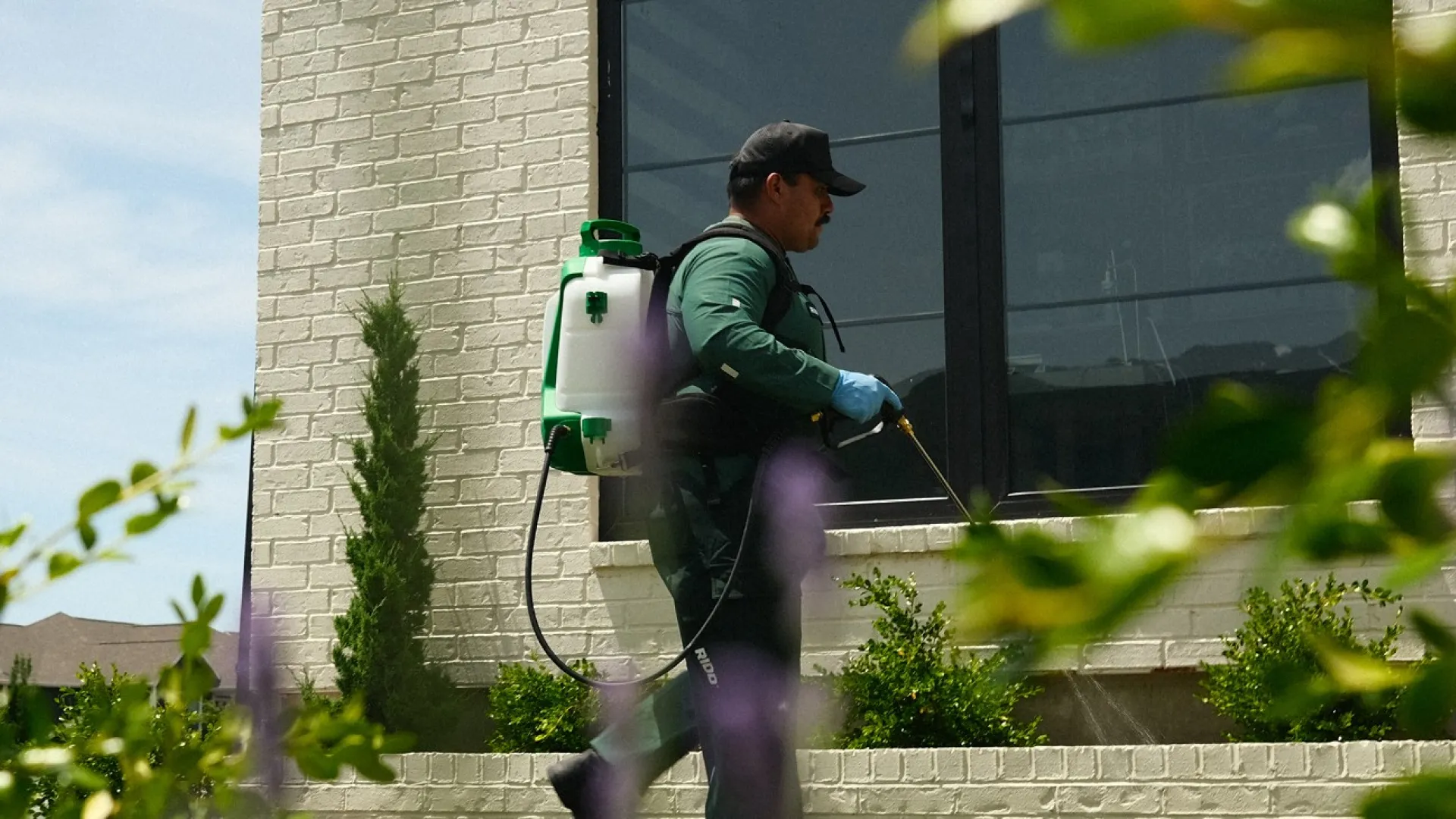 Professional gardener spraying plants with pesticide in a residential garden on a sunny day