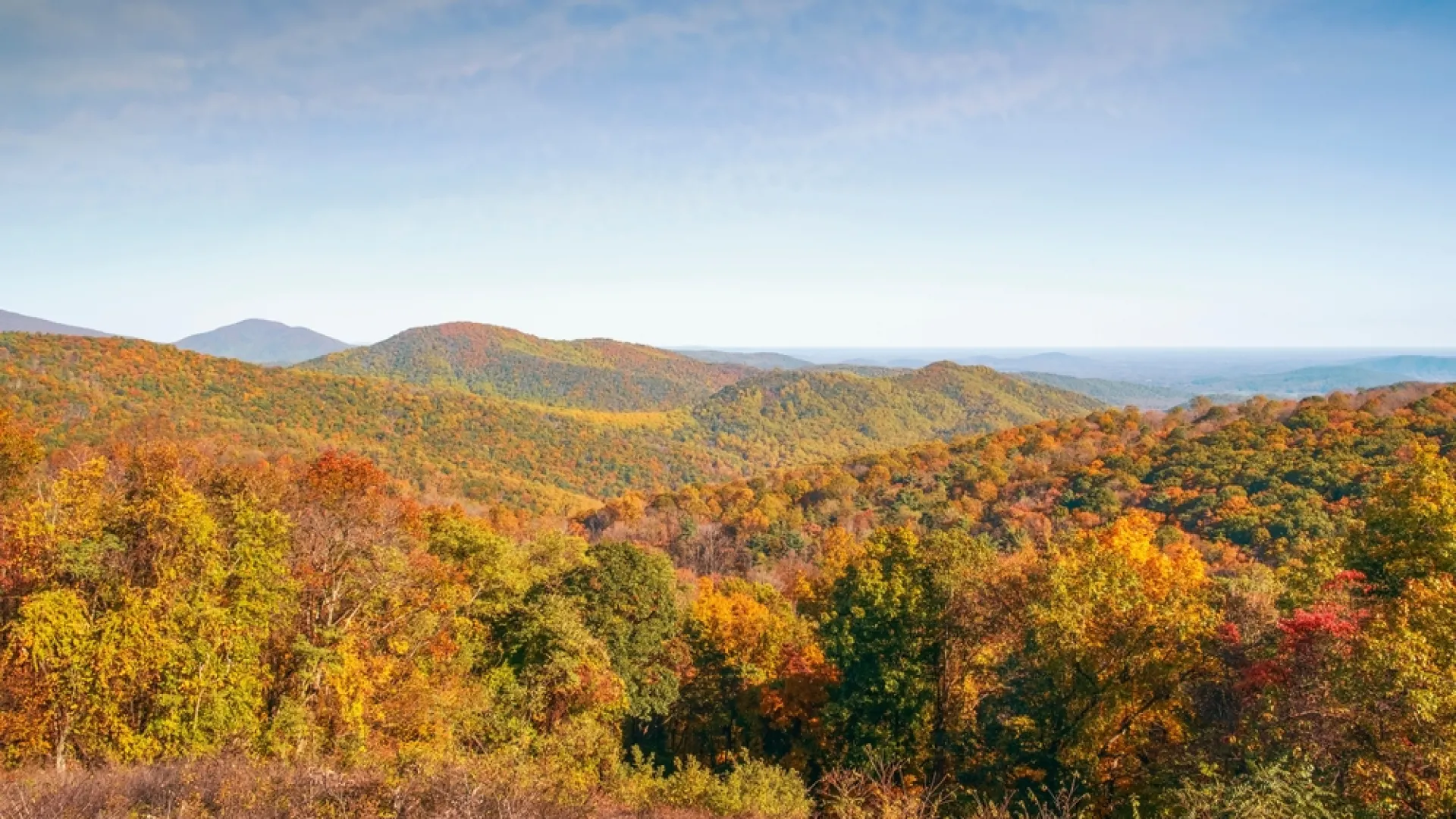 Rolling hills covered in vibrant autumn foliage under a clear blue sky during fall season.