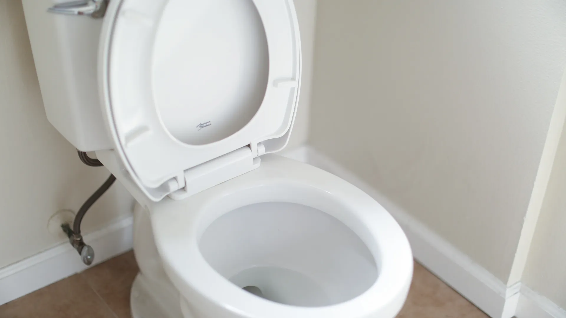 a whistling toilet that has just been fixed