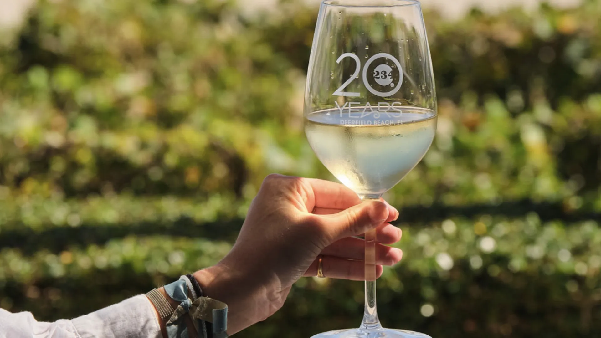 a person holding a glass of wine
