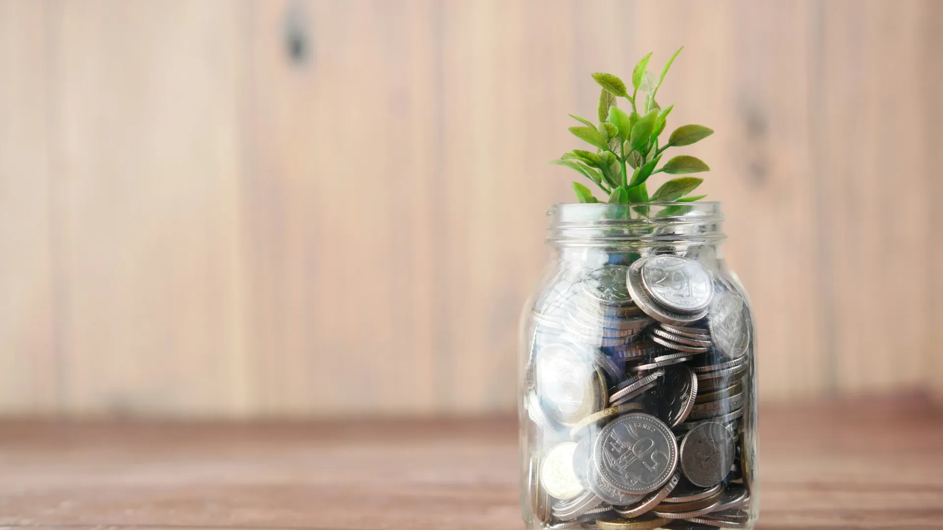 a plant in a glass jar