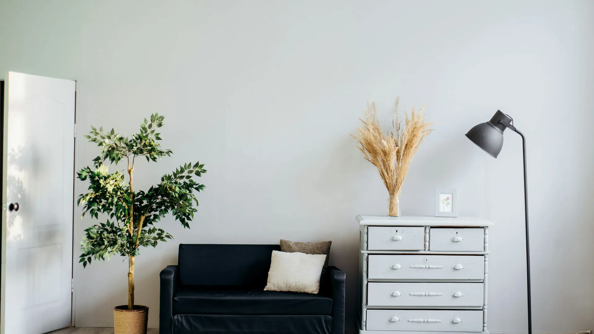 a room with a black couch and a black chair with a plant on it