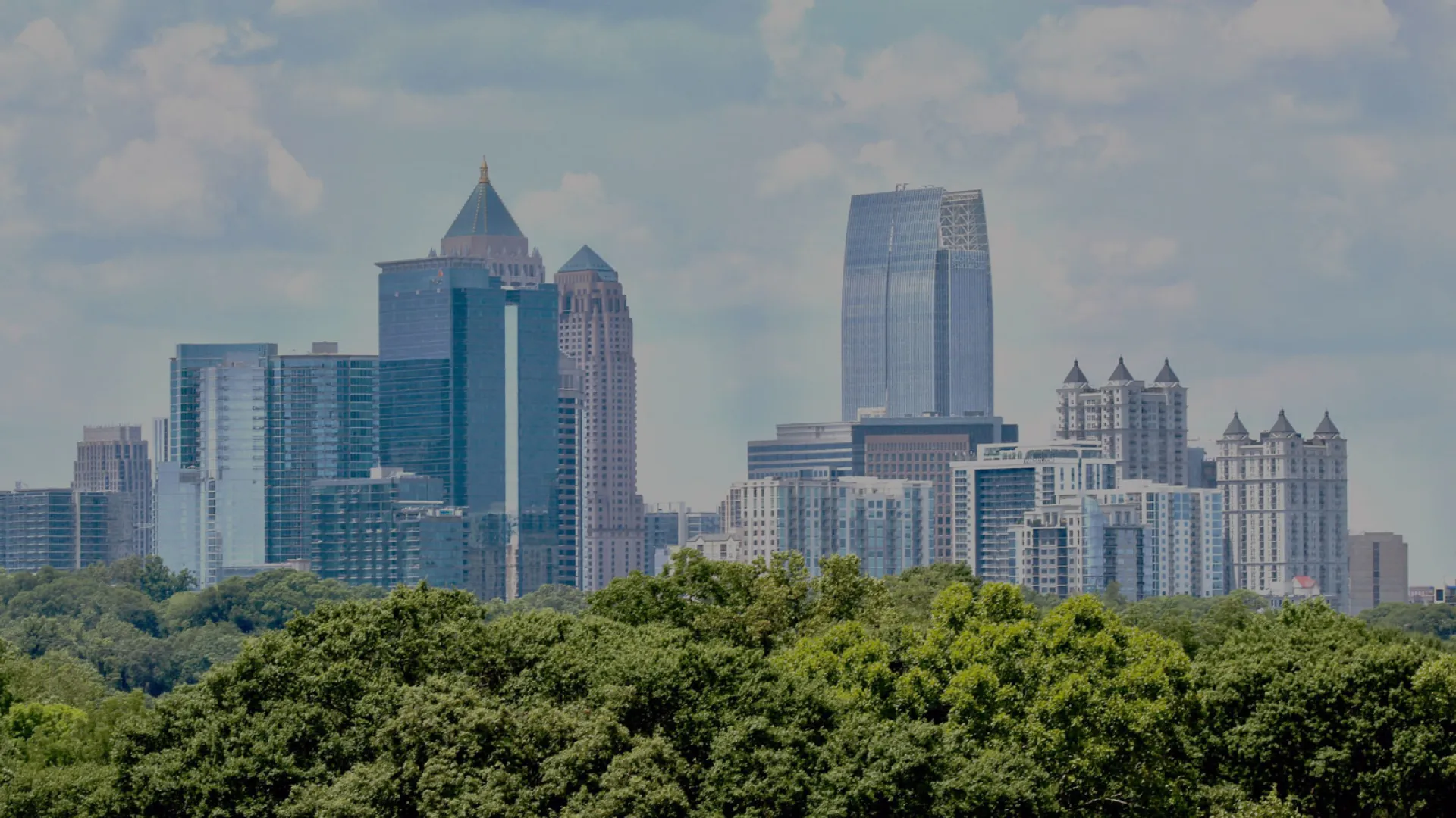 a city skyline with trees