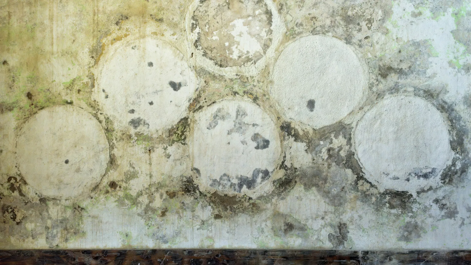 a group of white objects