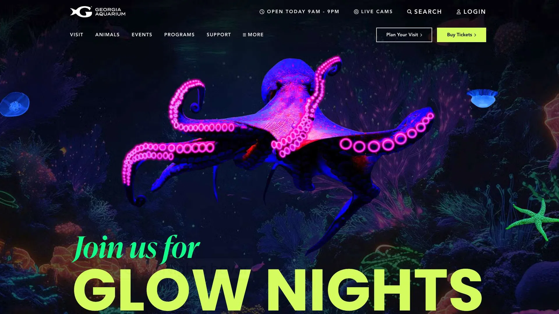 Bright neon octopus with glowing tentacles in a dark underwater scene promoting Glow Nights event.