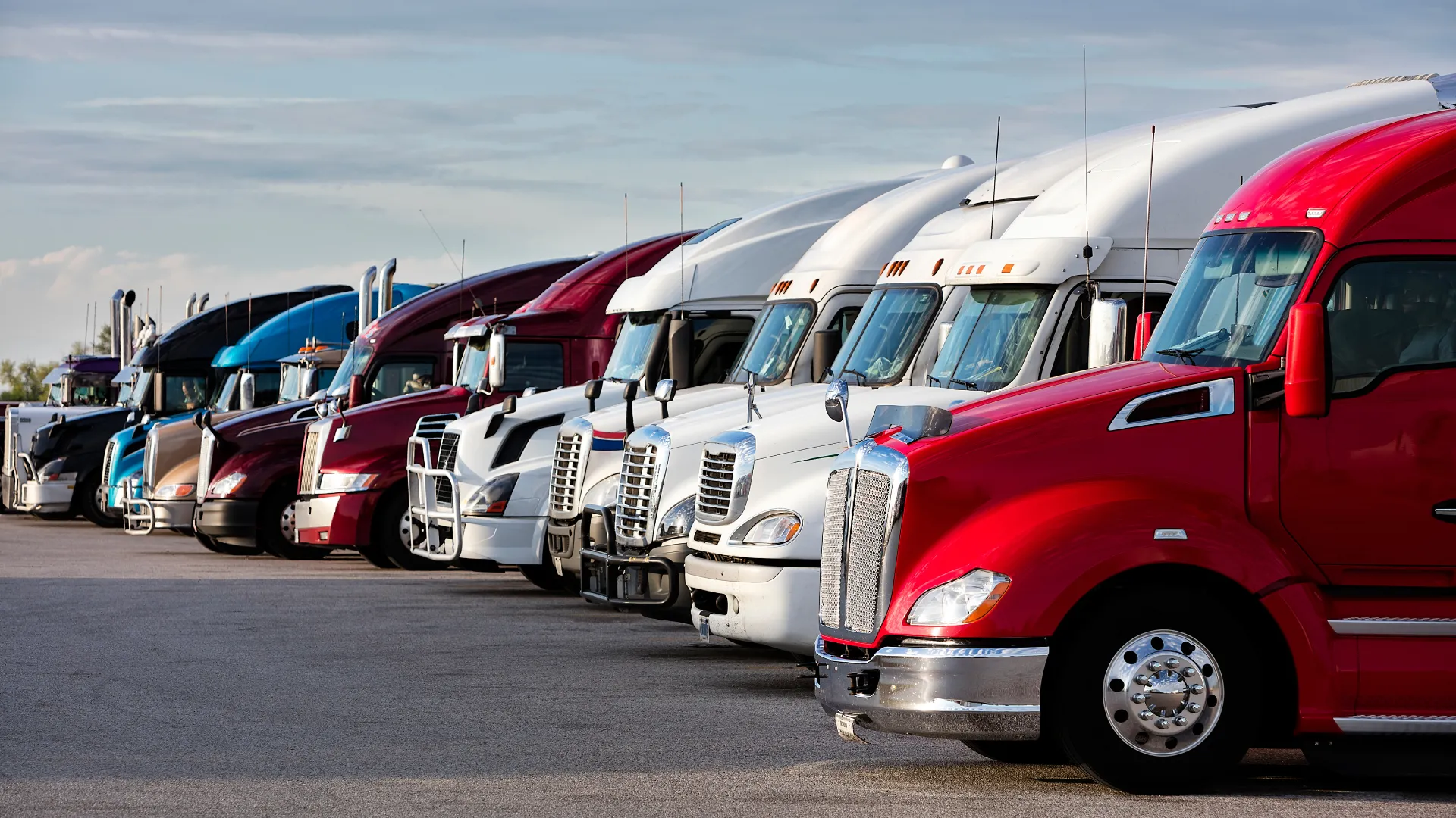 Row of colorful semi-trucks parked side by side under a clear sky in a lot.