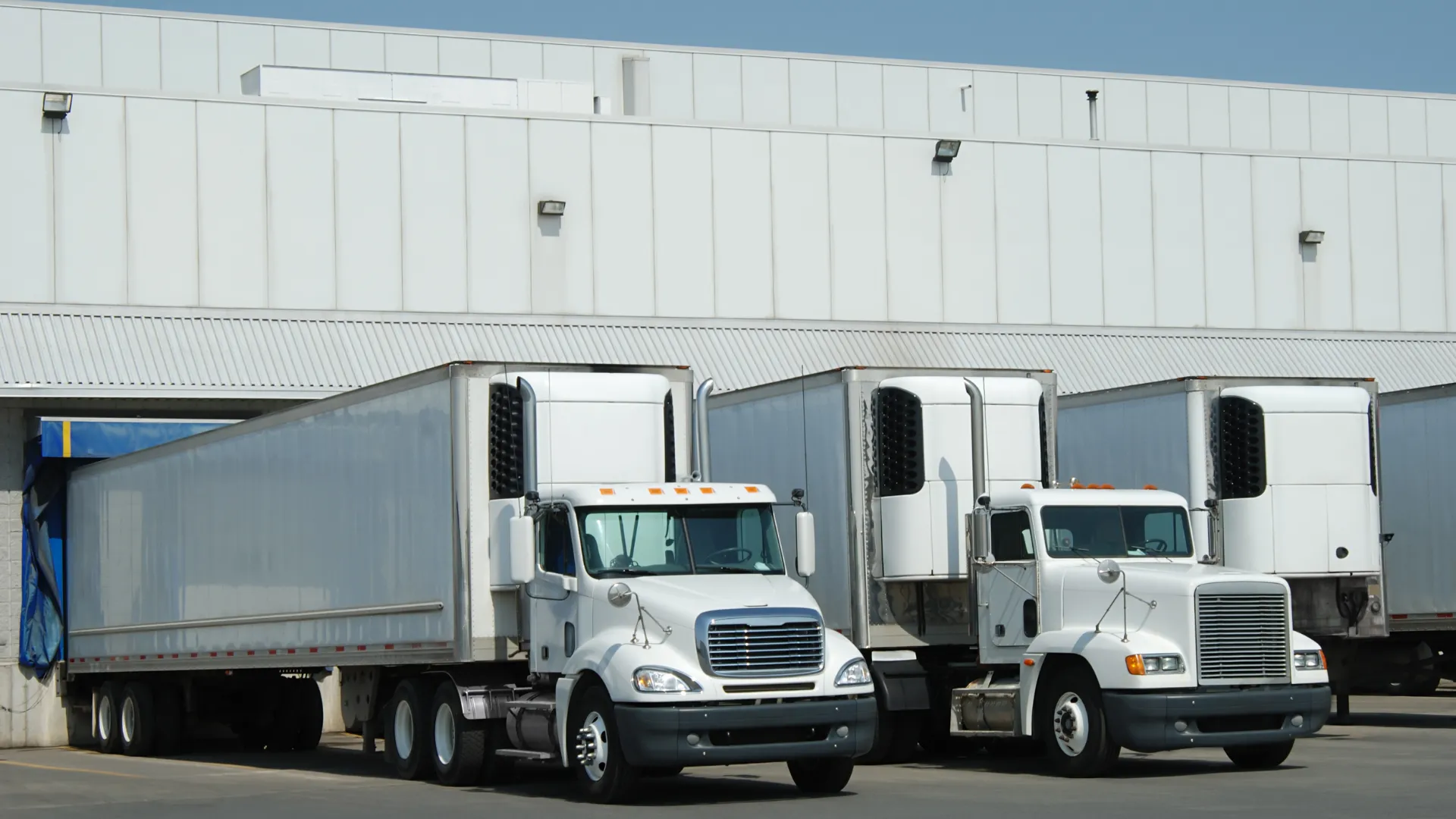 White refrigerated semi-trailer trucks parked at warehouse loading docks under bright daylight.