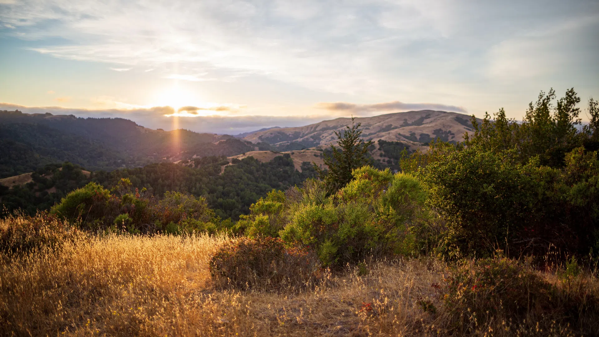 Sunset over rolling hills with dry grass and green shrubs under a partly cloudy sky.