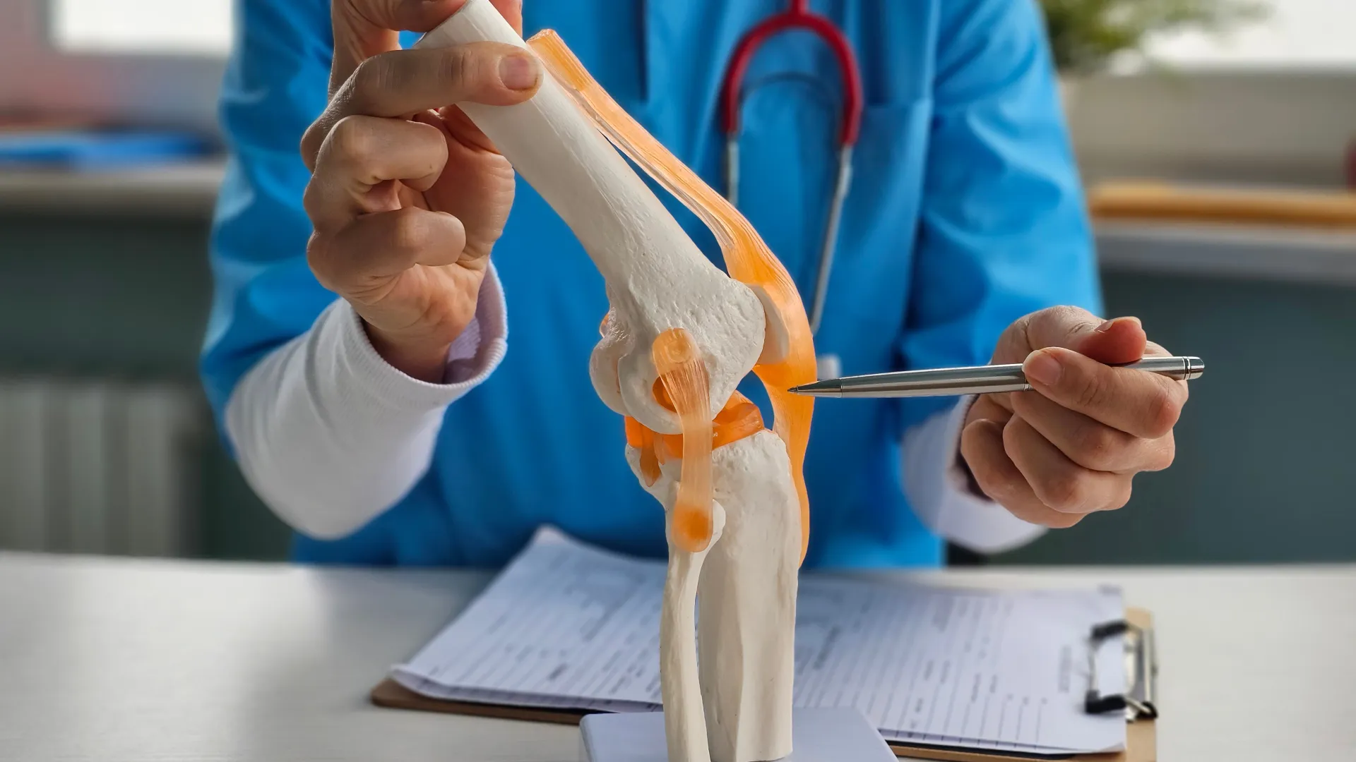 Doctor demonstrating knee joint anatomy using a model with highlighted ligaments and tendons during consultation