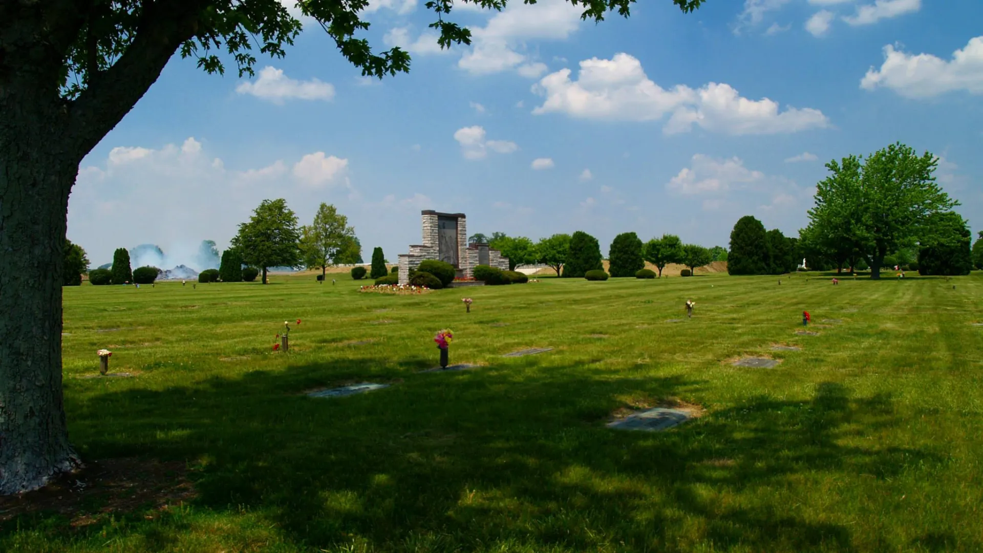 a group of people standing on a lush green field