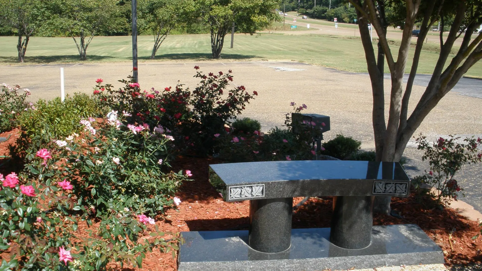 a bench in front of a tree