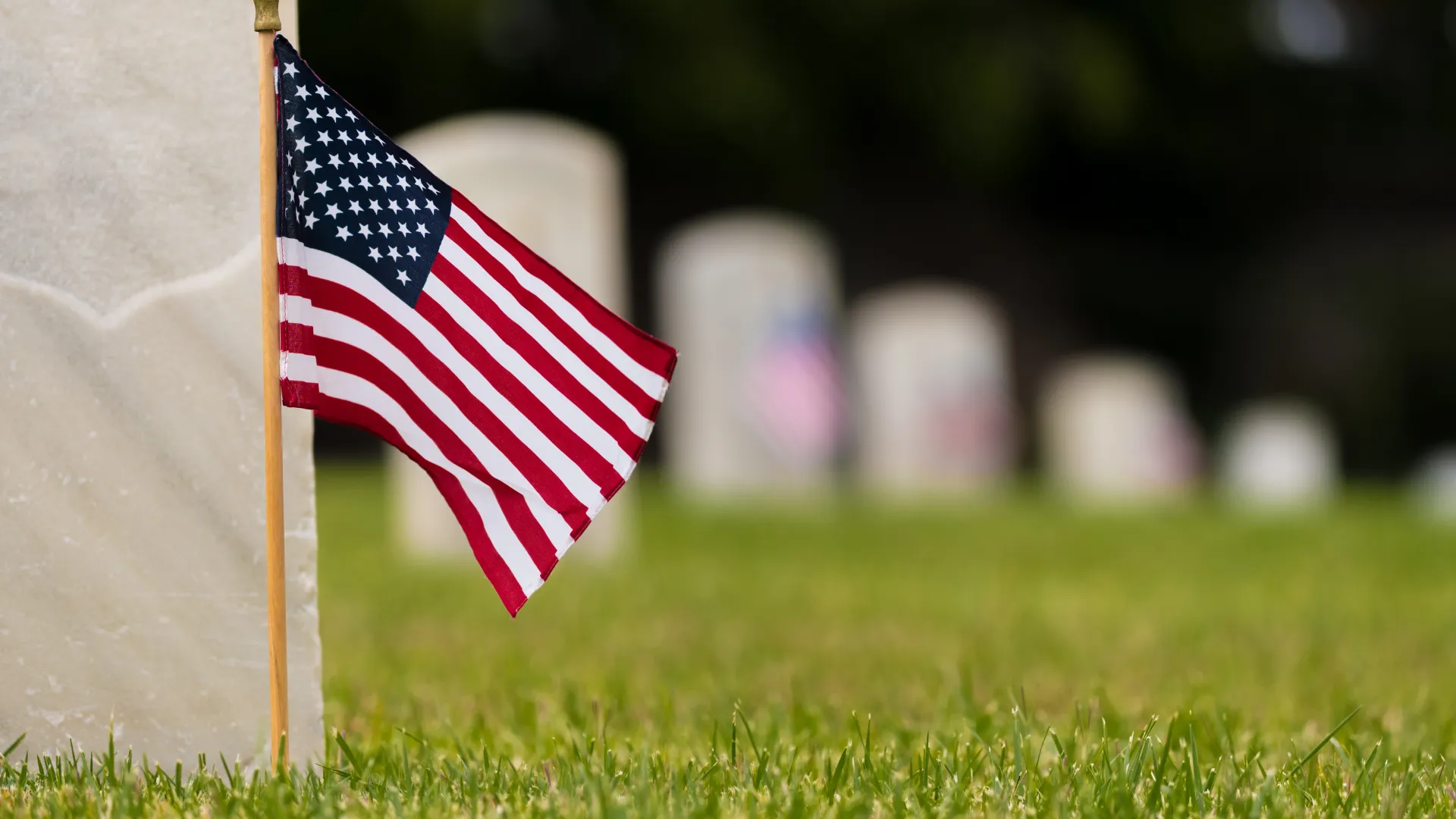 a flag on top of a grass covered field