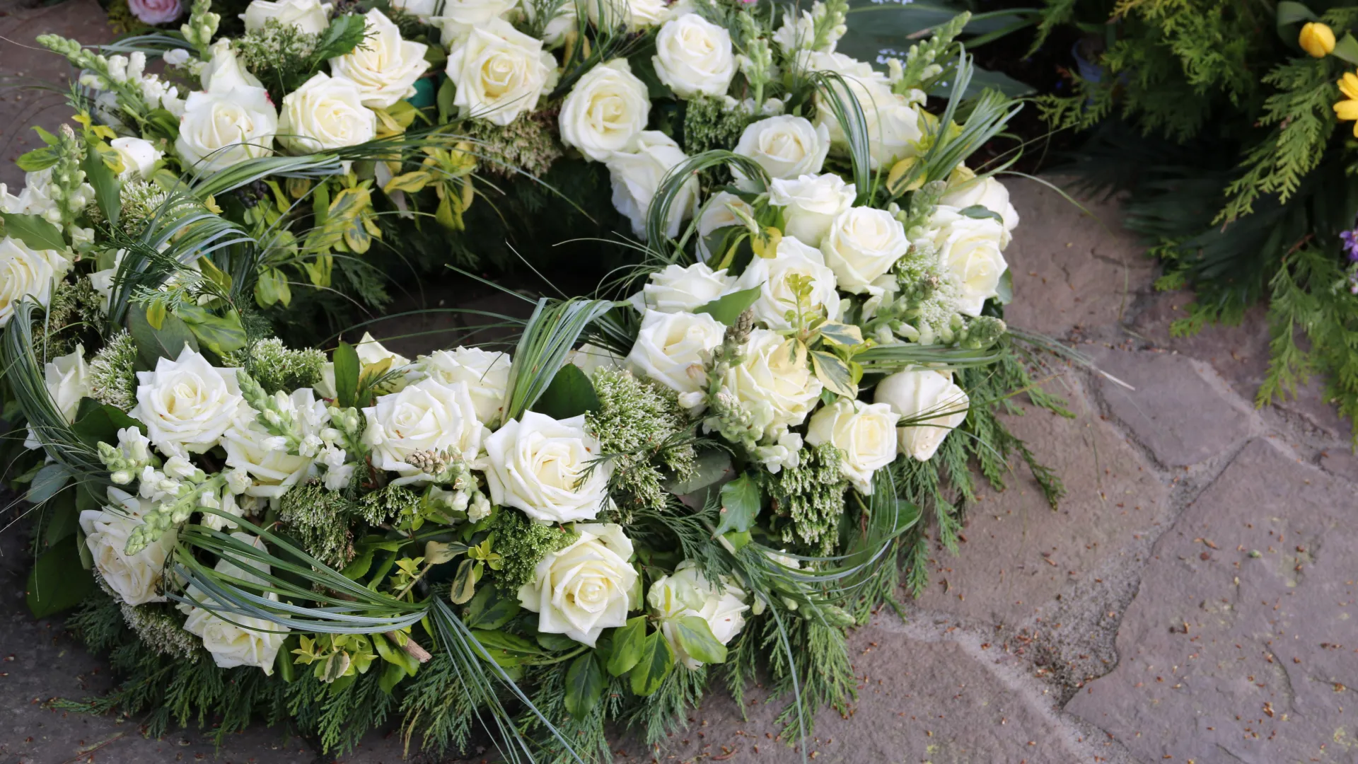 a close up of a flower garden