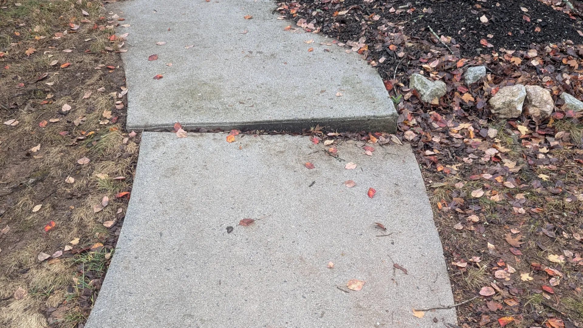 Concrete sidewalk slabs with visible cracks and fallen autumn leaves along grass and mulch edges.