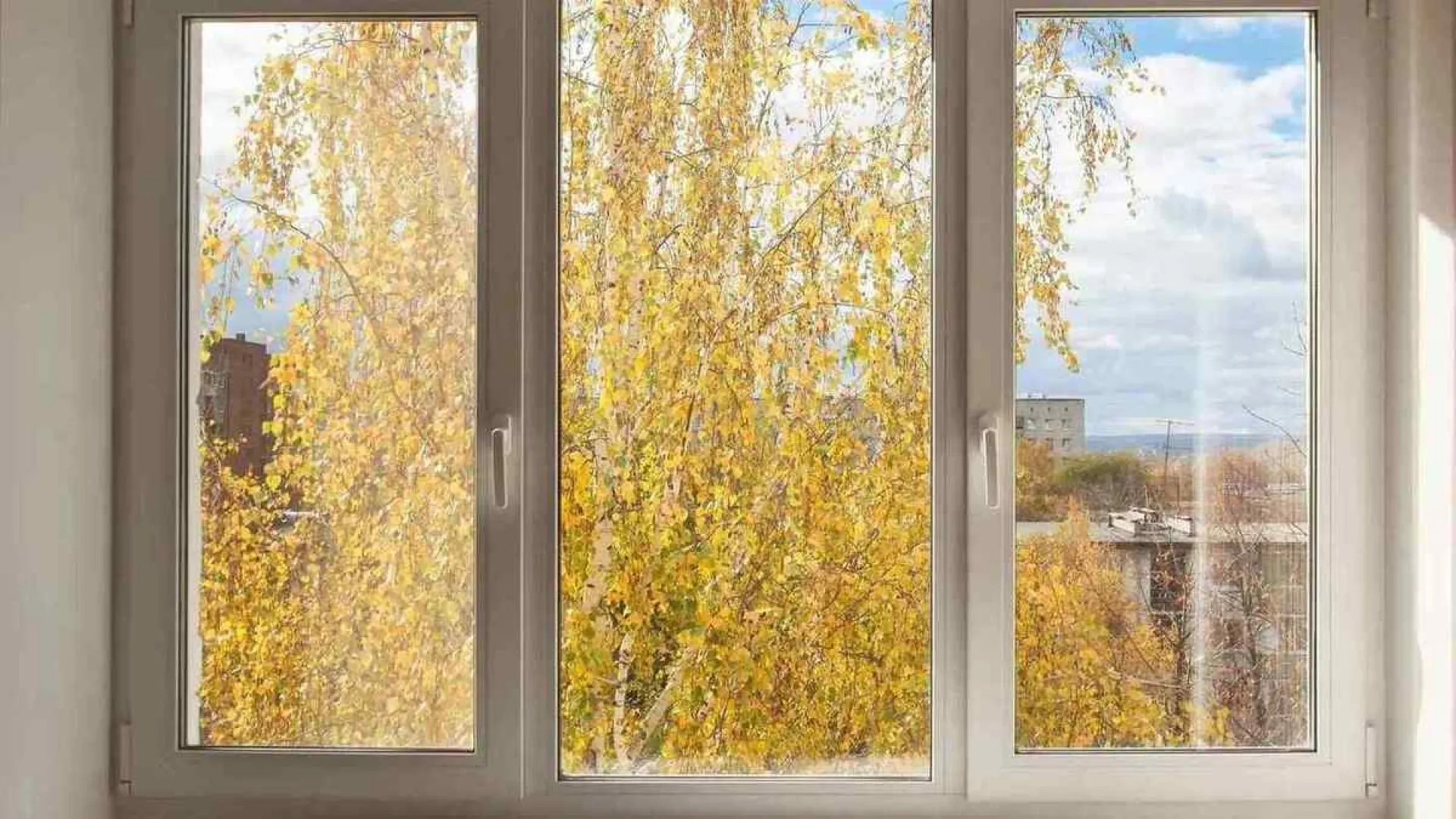 View through a three-panel window showing autumn trees with yellow leaves and buildings under a partly cloudy sky.