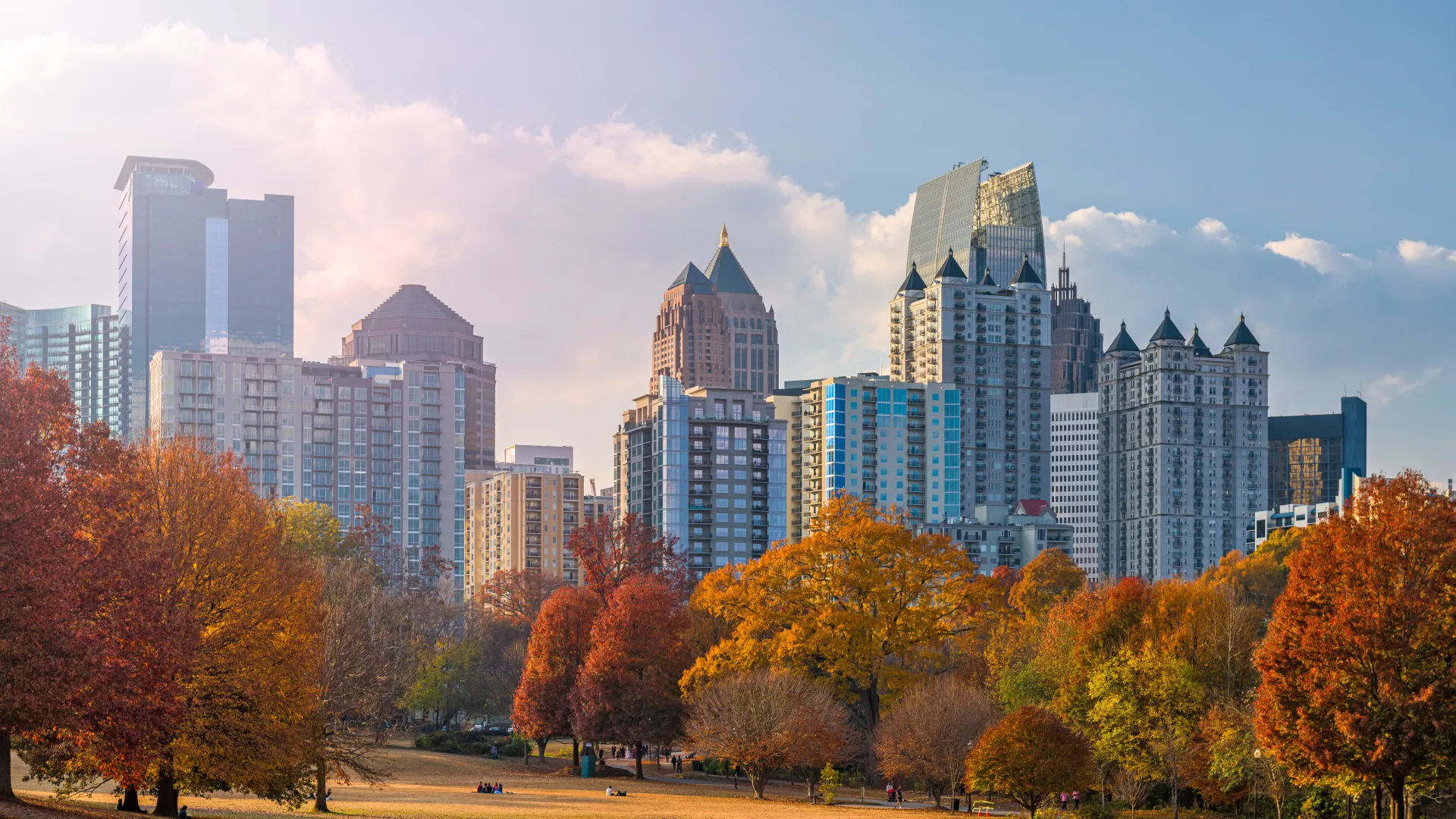 lots of trees in a park in Atlanta