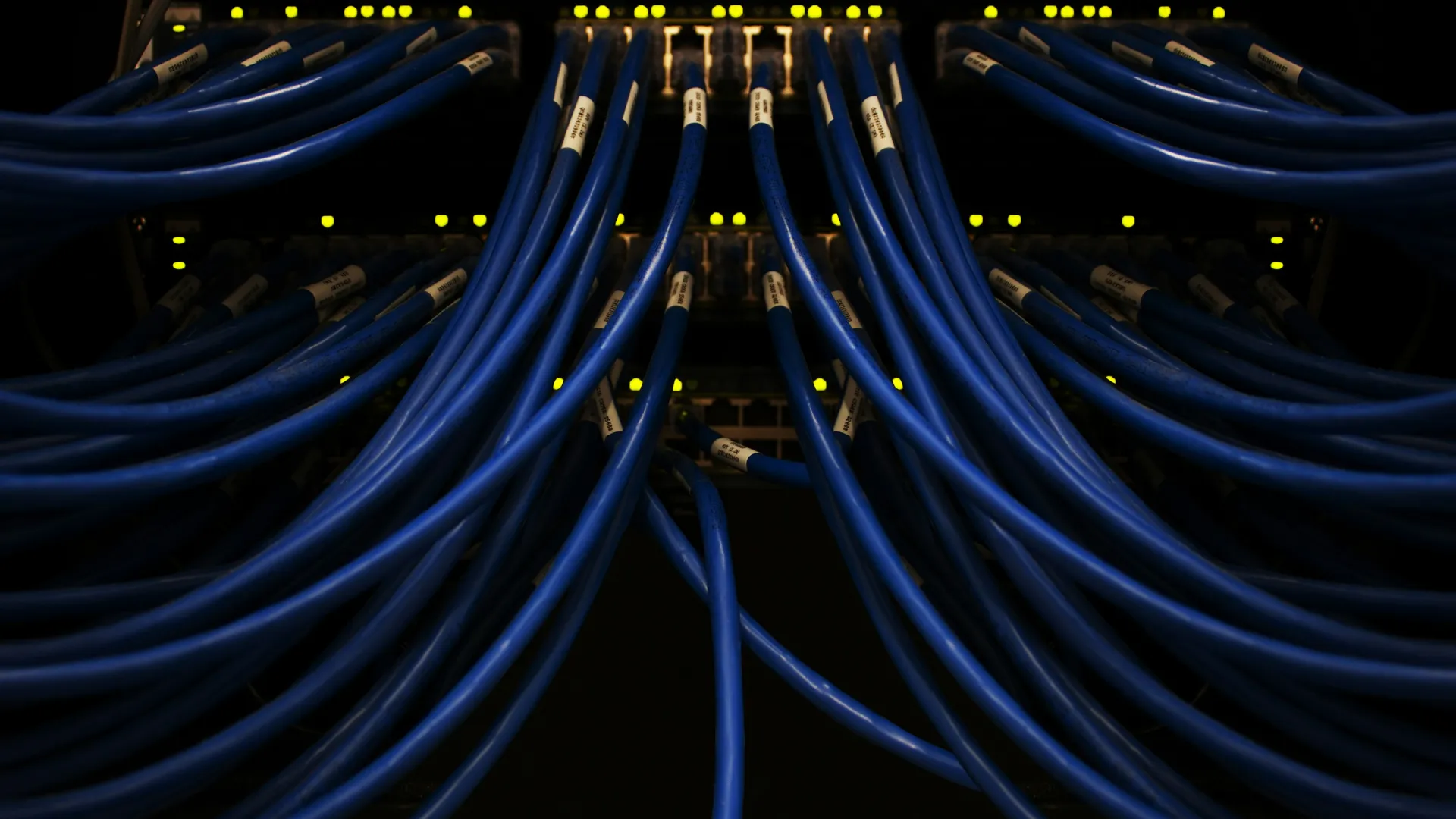 Blue network cables connected to a server rack with glowing yellow indicator lights in a dark room.
