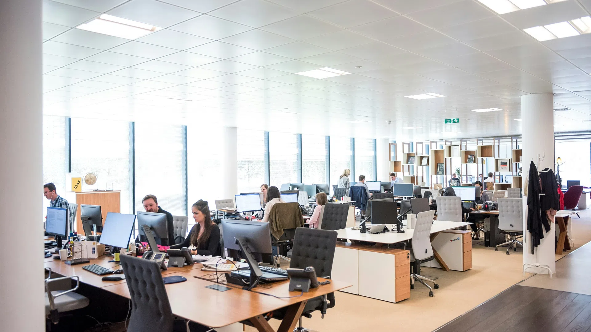 Bright modern office with employees working at desks and large windows letting in natural light