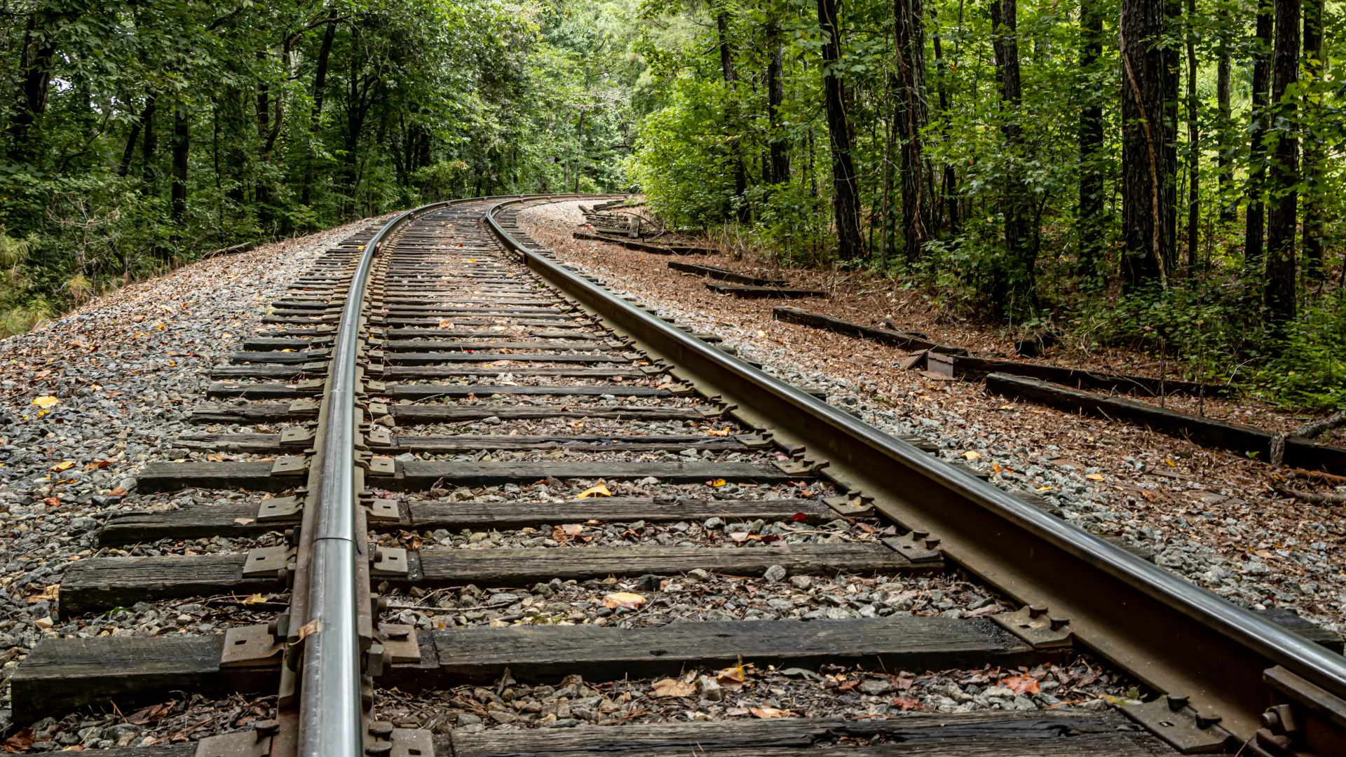 train tracks in the woods