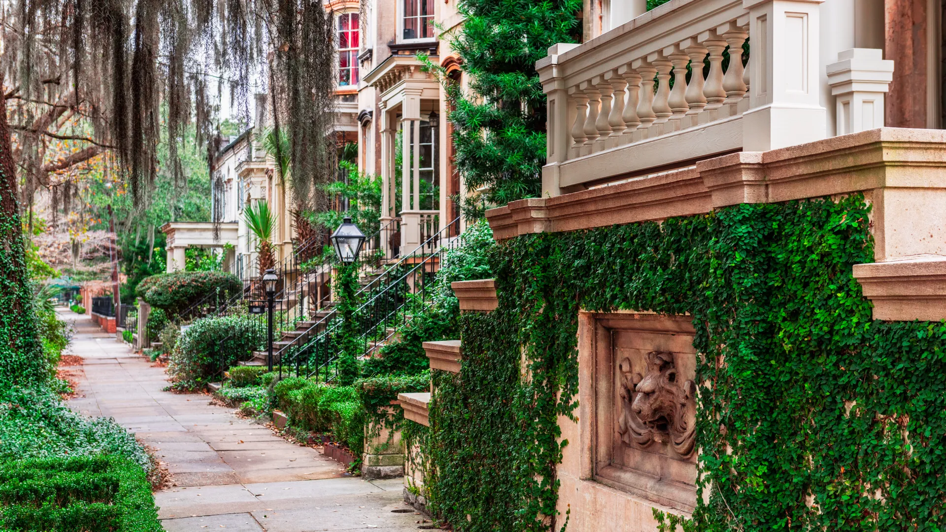 a path with plants and a building