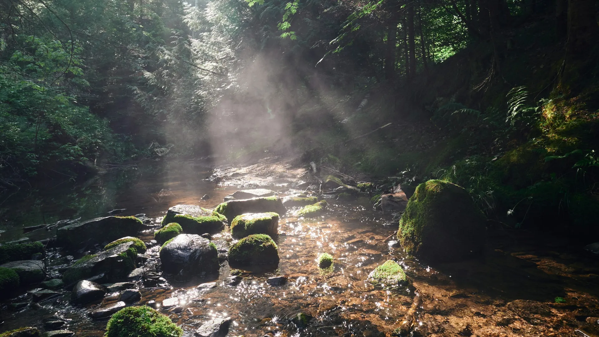 Sunlight streaming through dense forest trees onto a moss-covered rocky stream with clear flowing water.