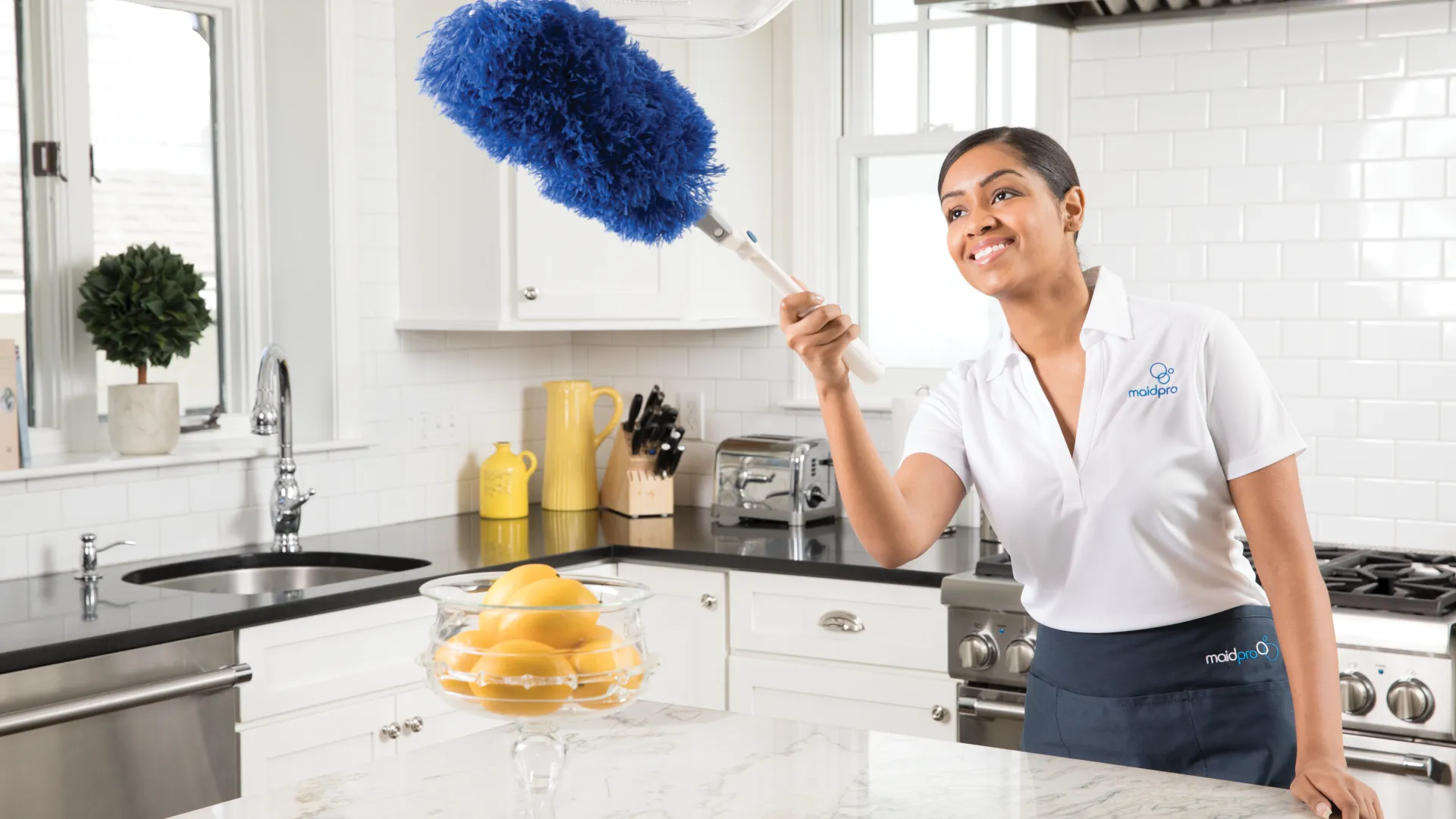 MaidPro PRO Cleaner