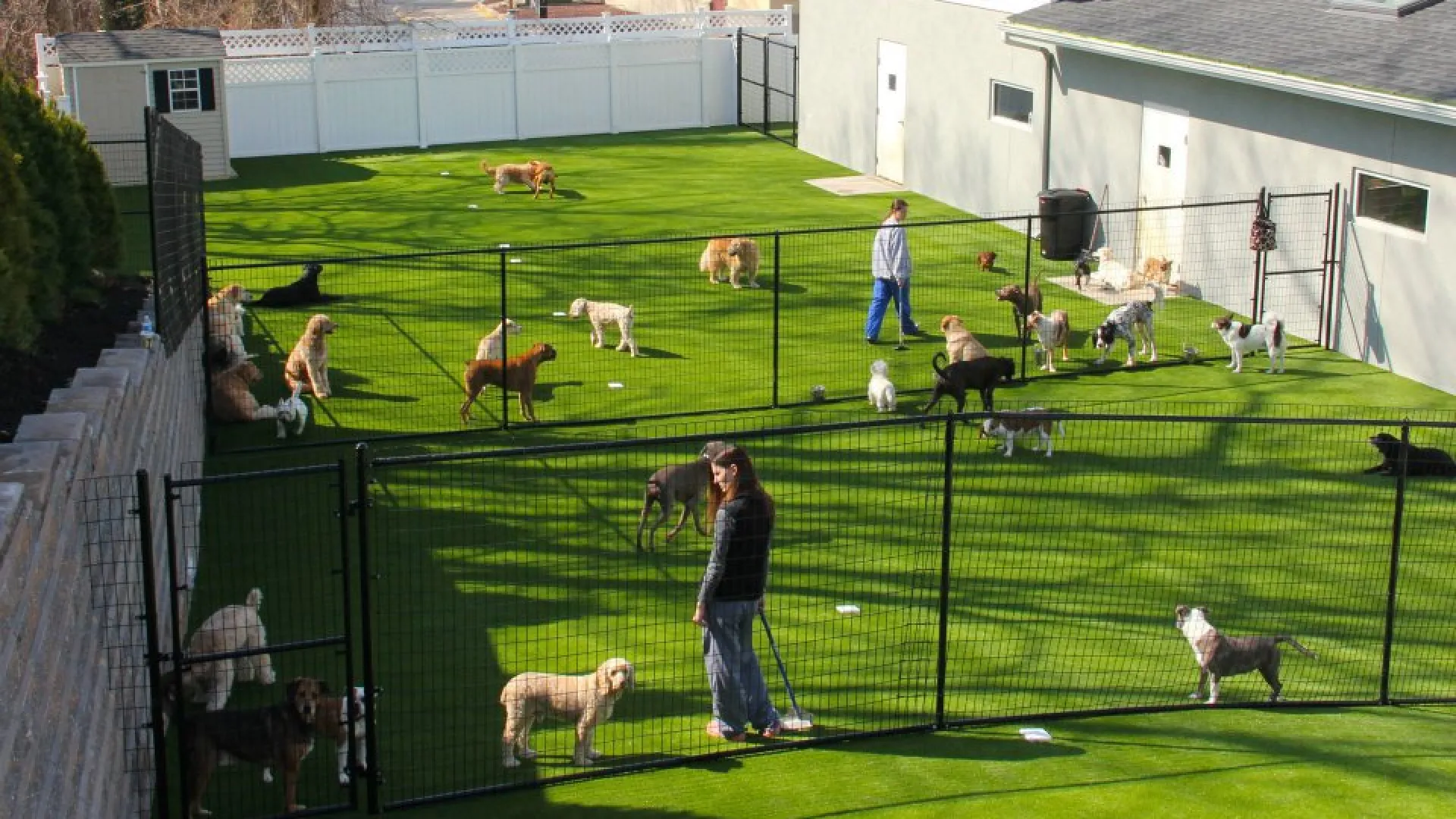 dog kennel with artificial grass