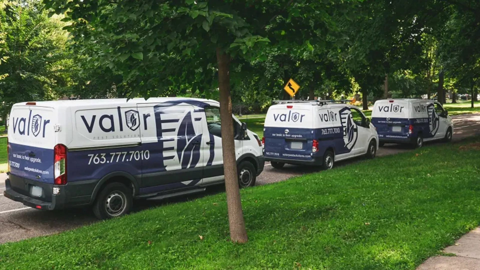 Three Valor Pest Solutions vans parked on a tree-lined street with green grass surrounding them.