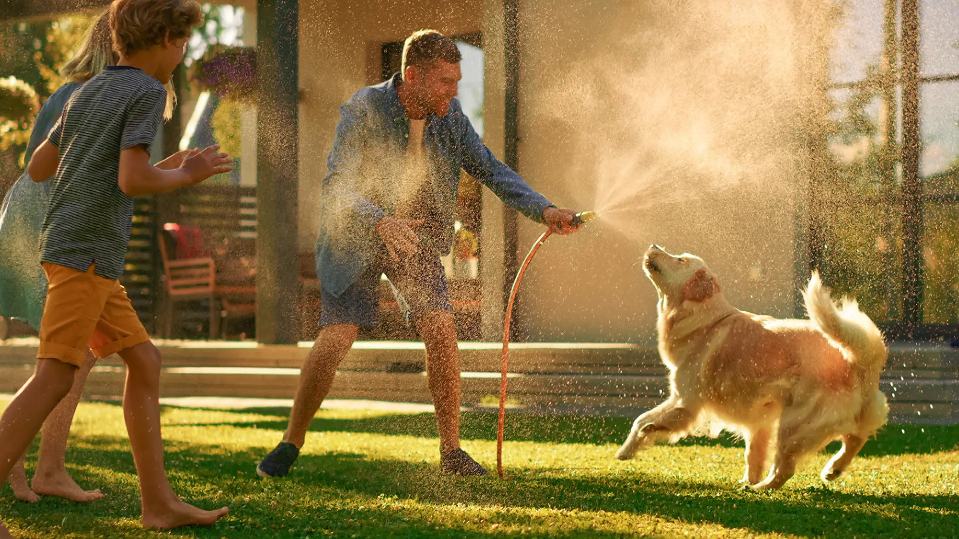 Man and child playfully watering a golden retriever dog in a sunny backyard garden with sprinklers active.