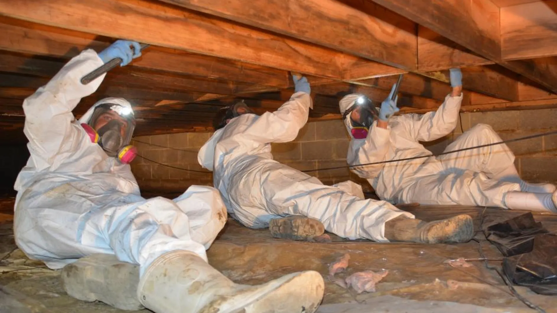Three workers in protective suits and masks inspecting and repairing a wooden crawl space area under a house.