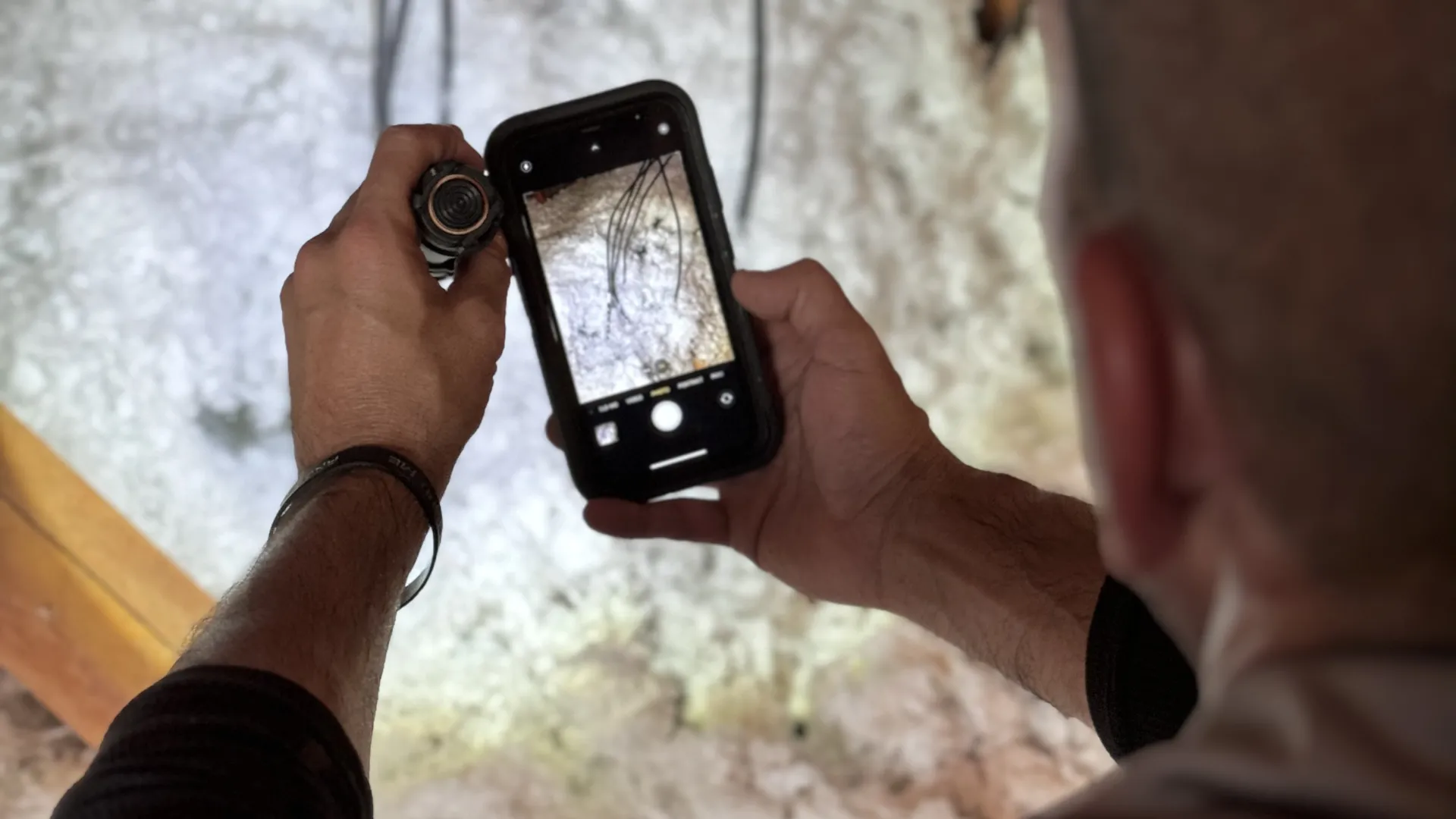 a windward technician taking a picture of attic pests, Atlanta Pest Control, Pest Control Services in Georgia, Termites,  Atlanta Attic Pests