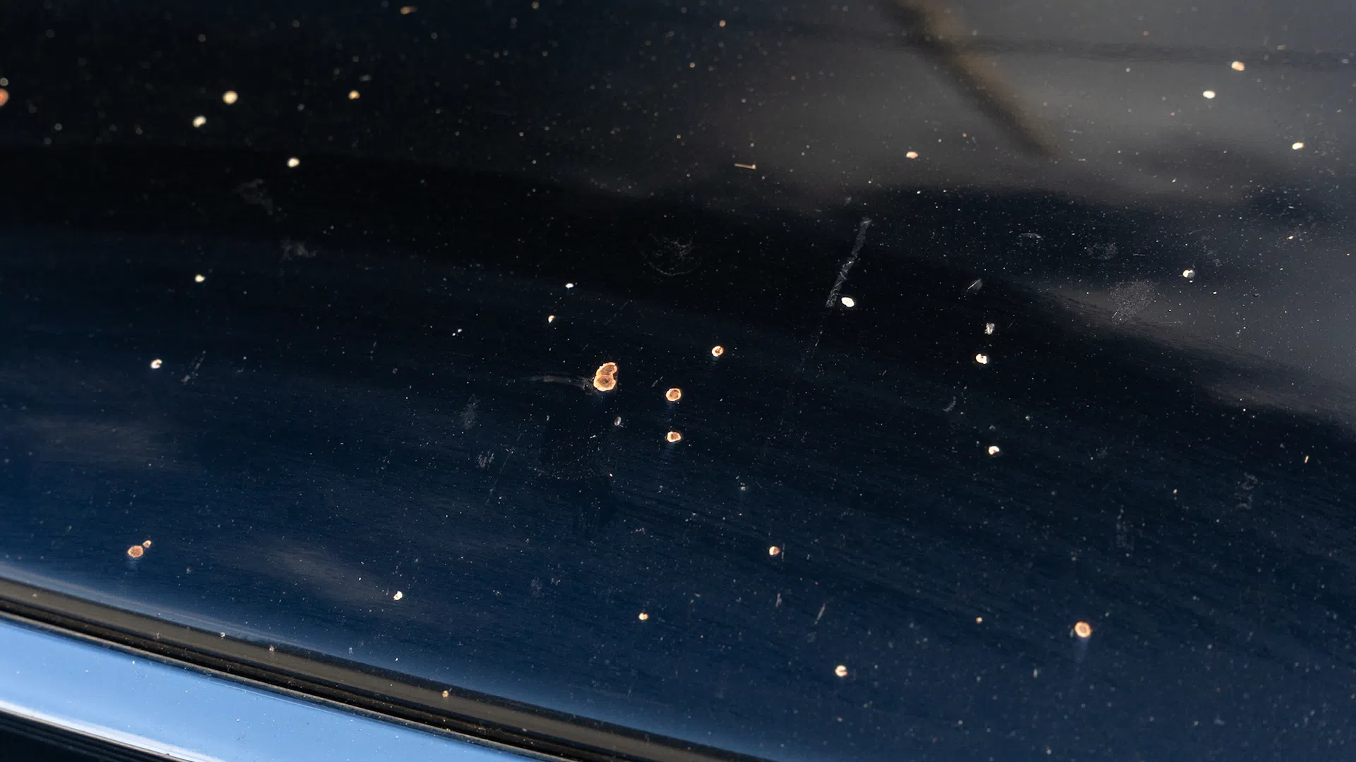 Close-up of black painted metal surface with scattered rust spots and scratches reflecting light.
