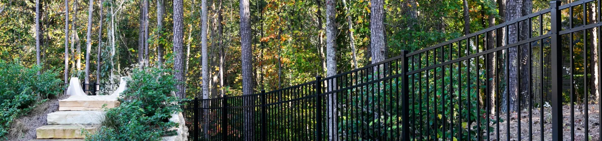 a black gate in a forest