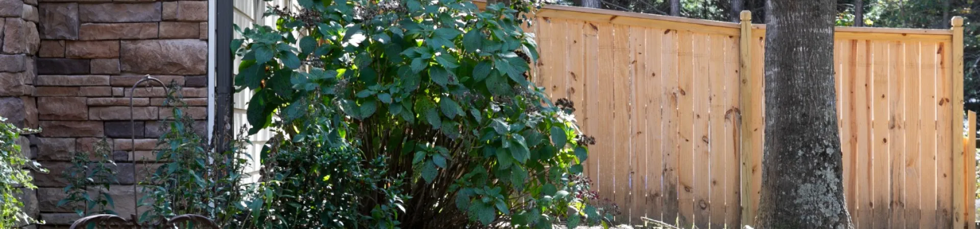 A serene garden scene featuring a wooden fence, lush green bushes, and autumn leaves in the foreground.