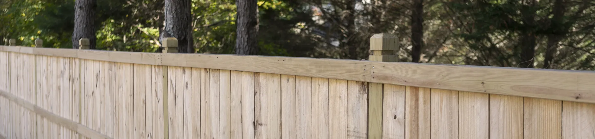 Wooden fence lined with trees in a serene outdoor setting, showcasing natural surroundings and craftsmanship.
