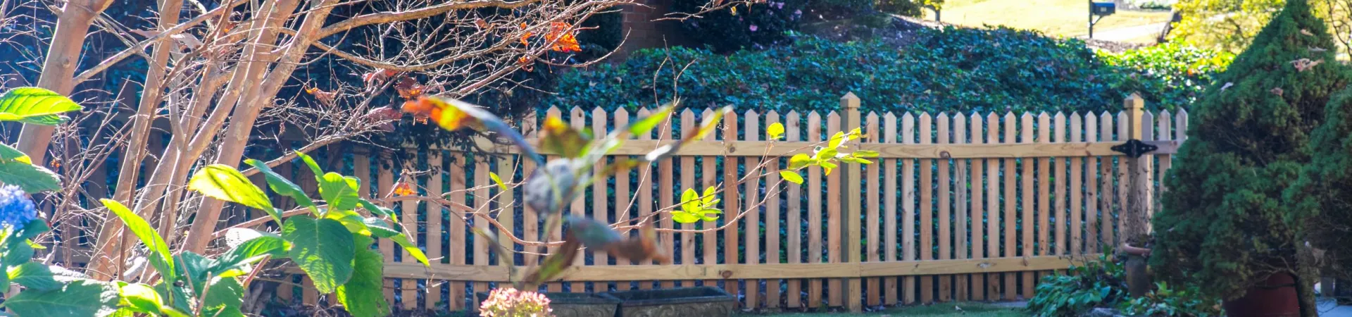 a fence in a yard