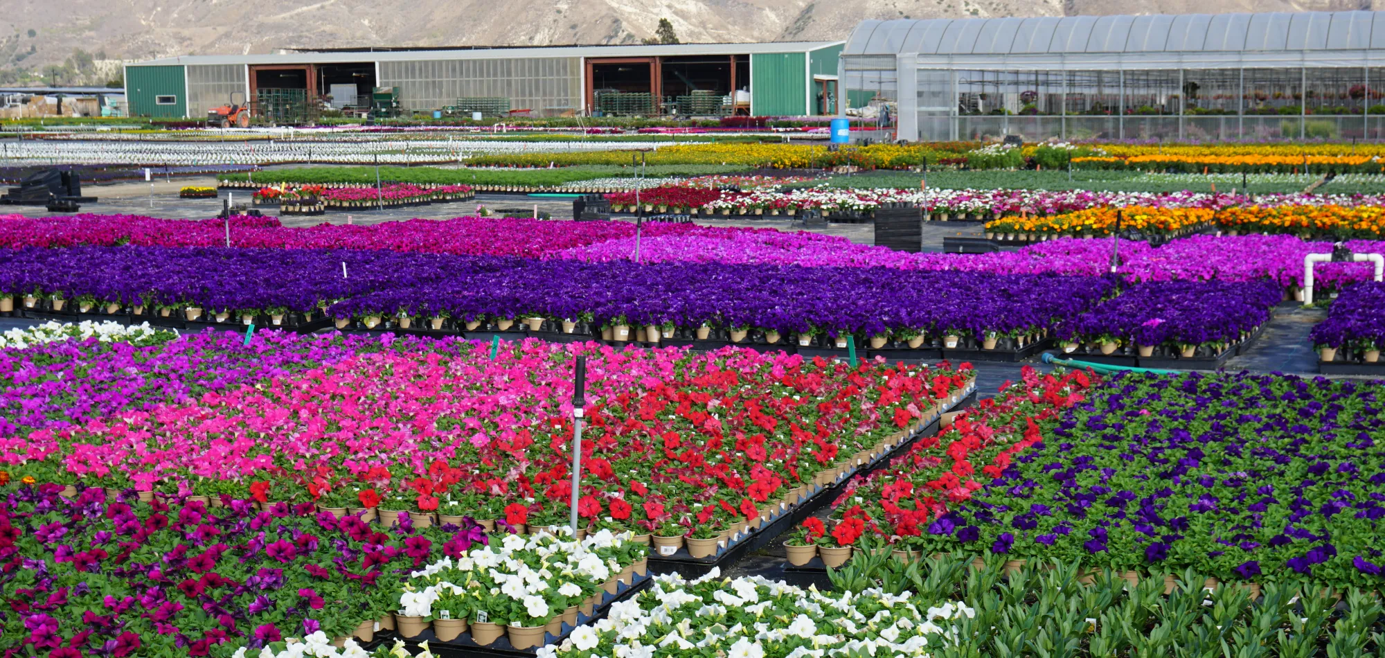 Locations Armstrong Growers